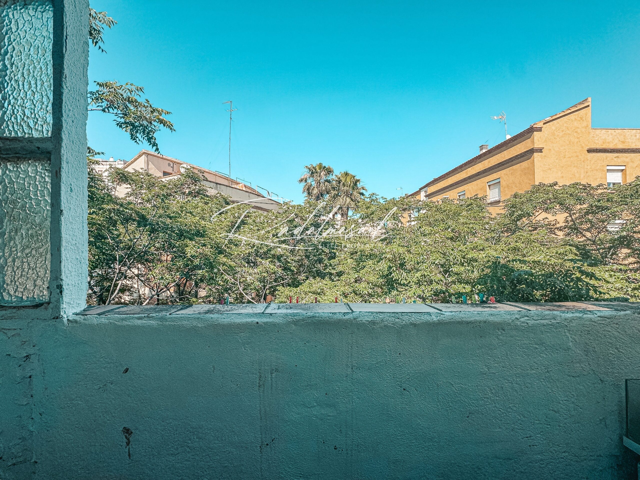 Galería 2