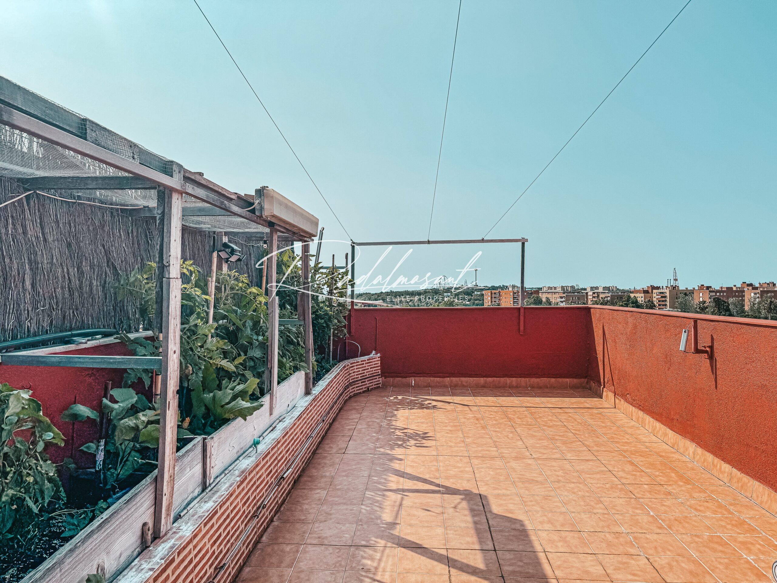 Terraza 1