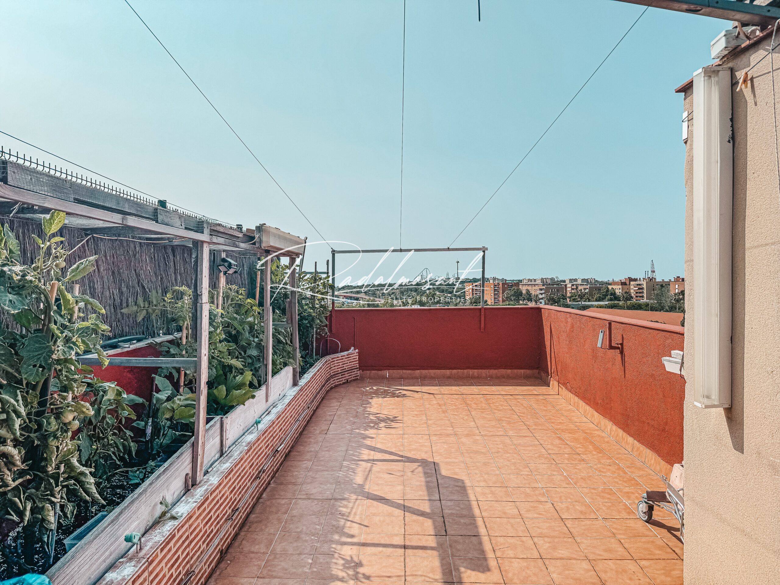 Terraza 2