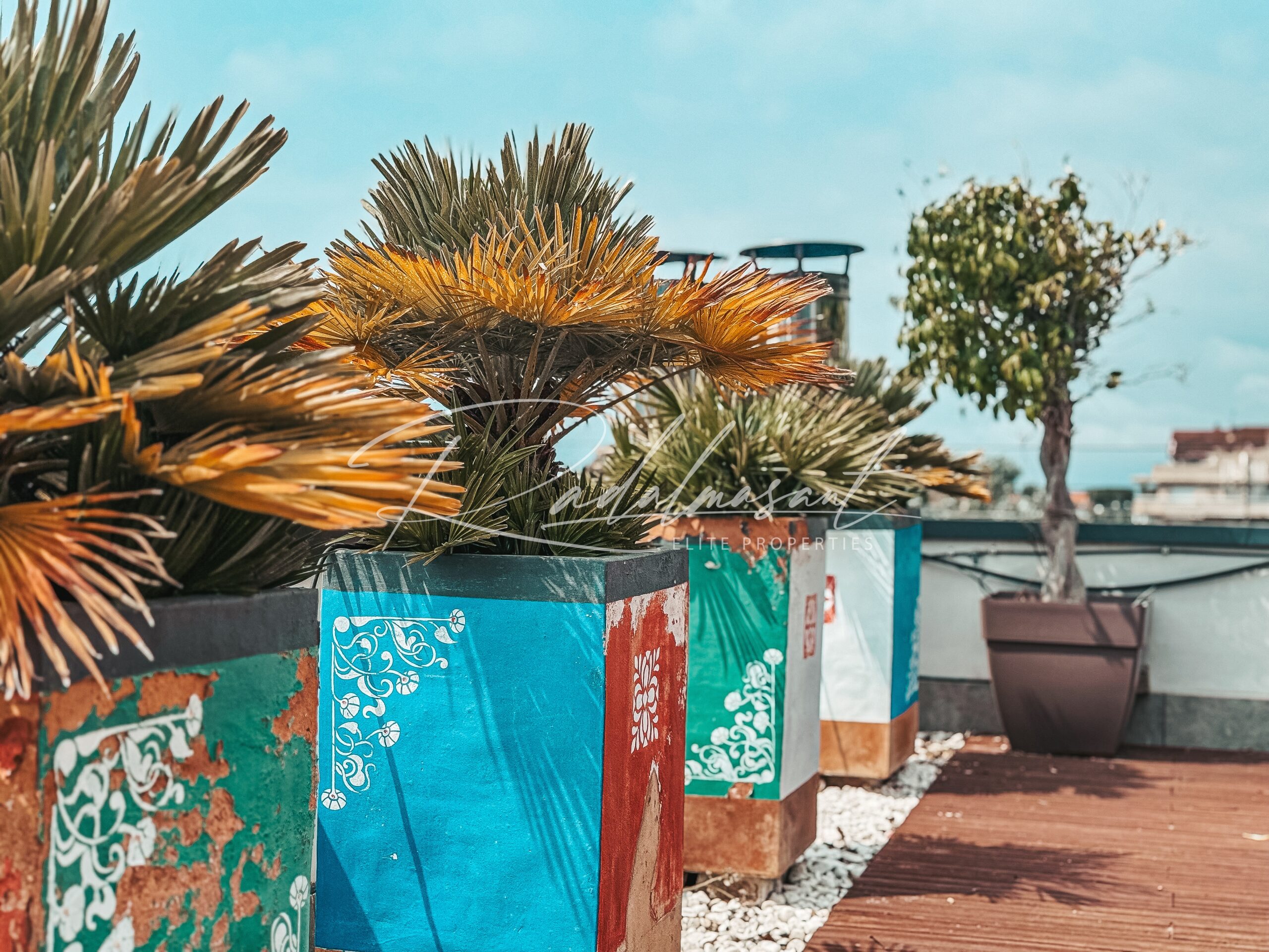 Terraza 2.9
