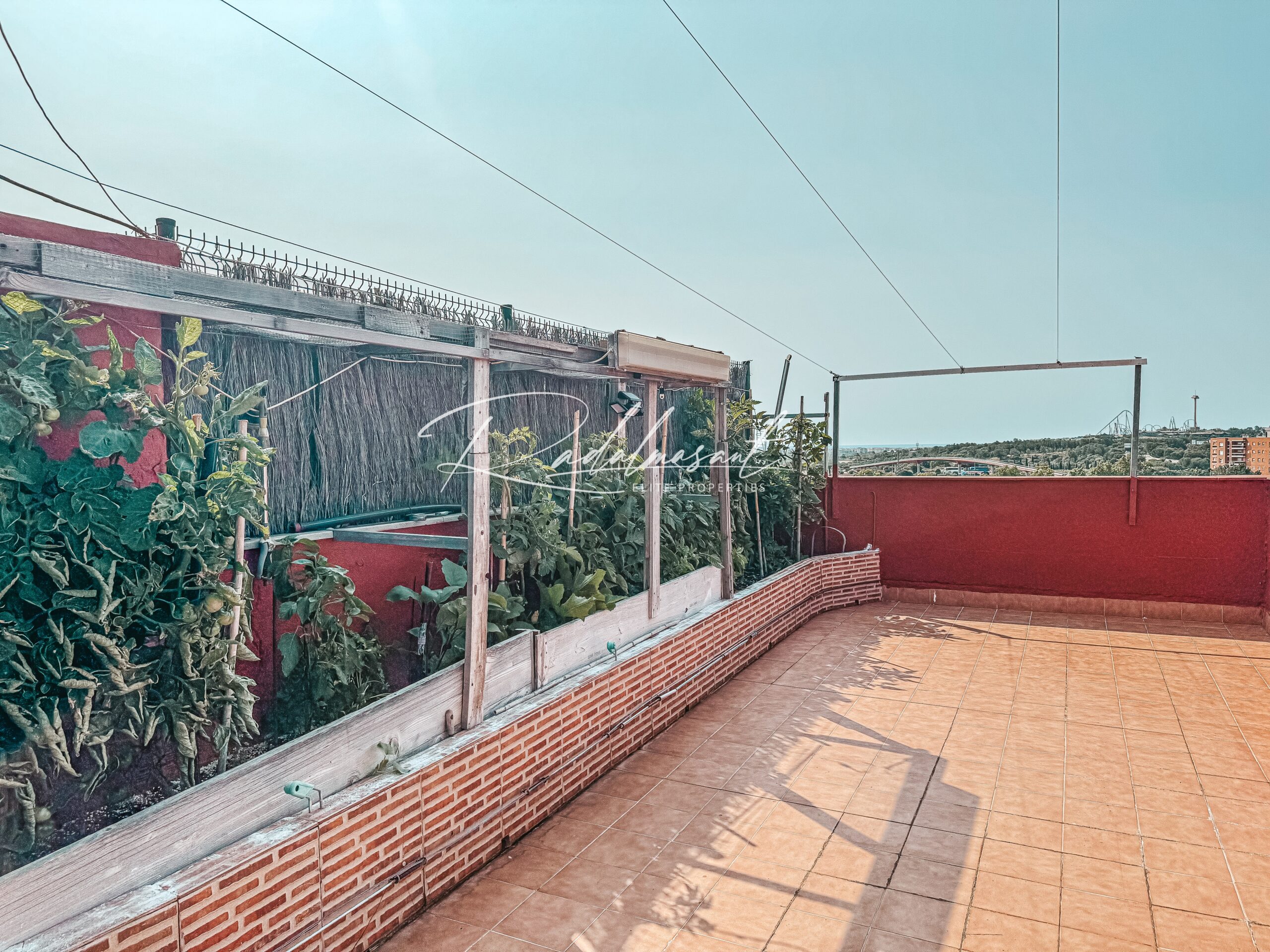 Terraza 3