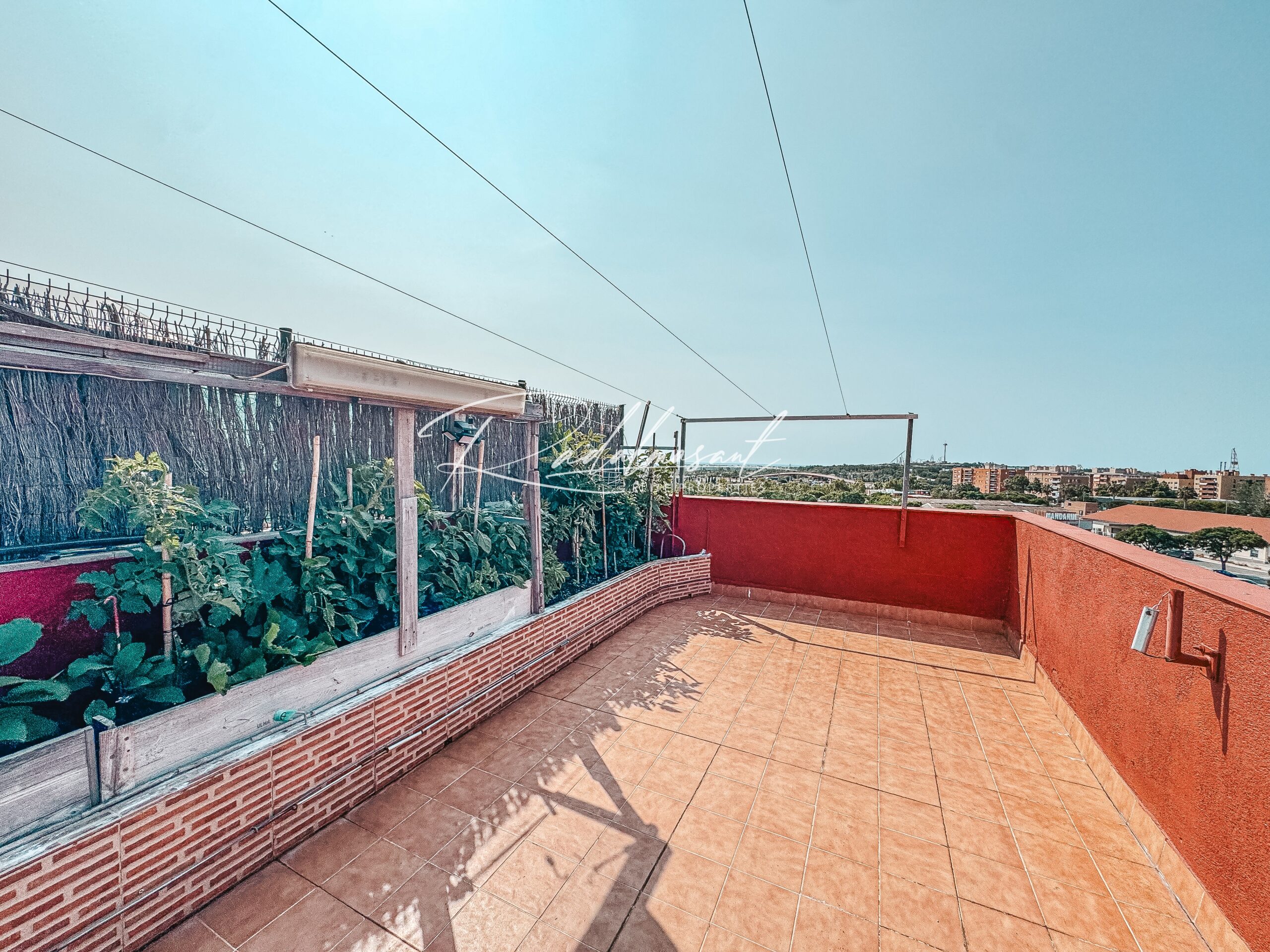 Terraza 4