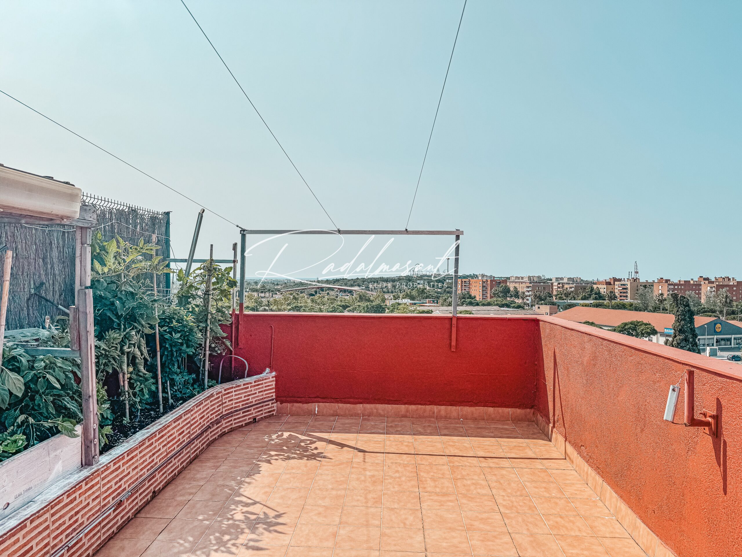 Terraza 6
