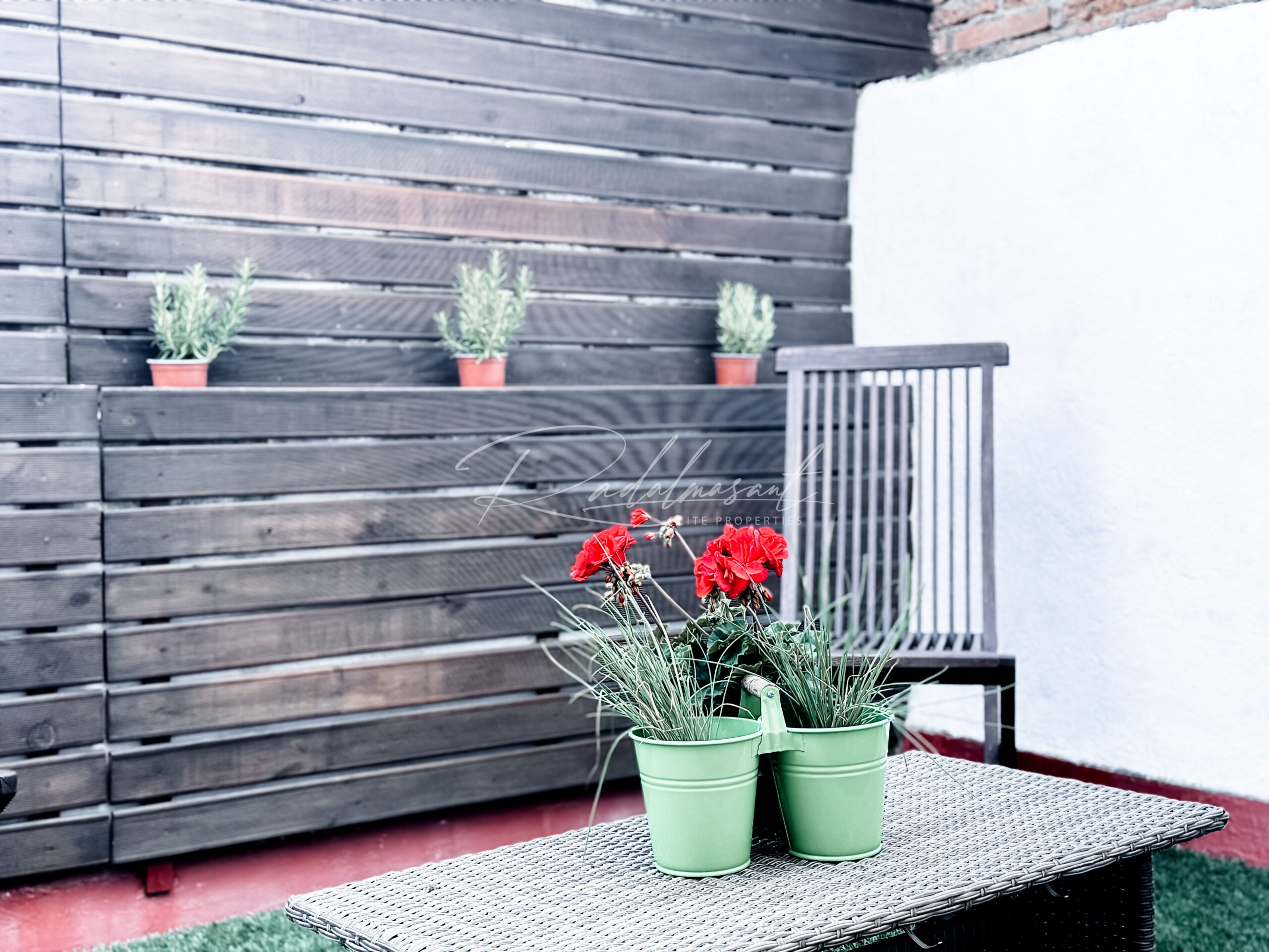 Terraza 6