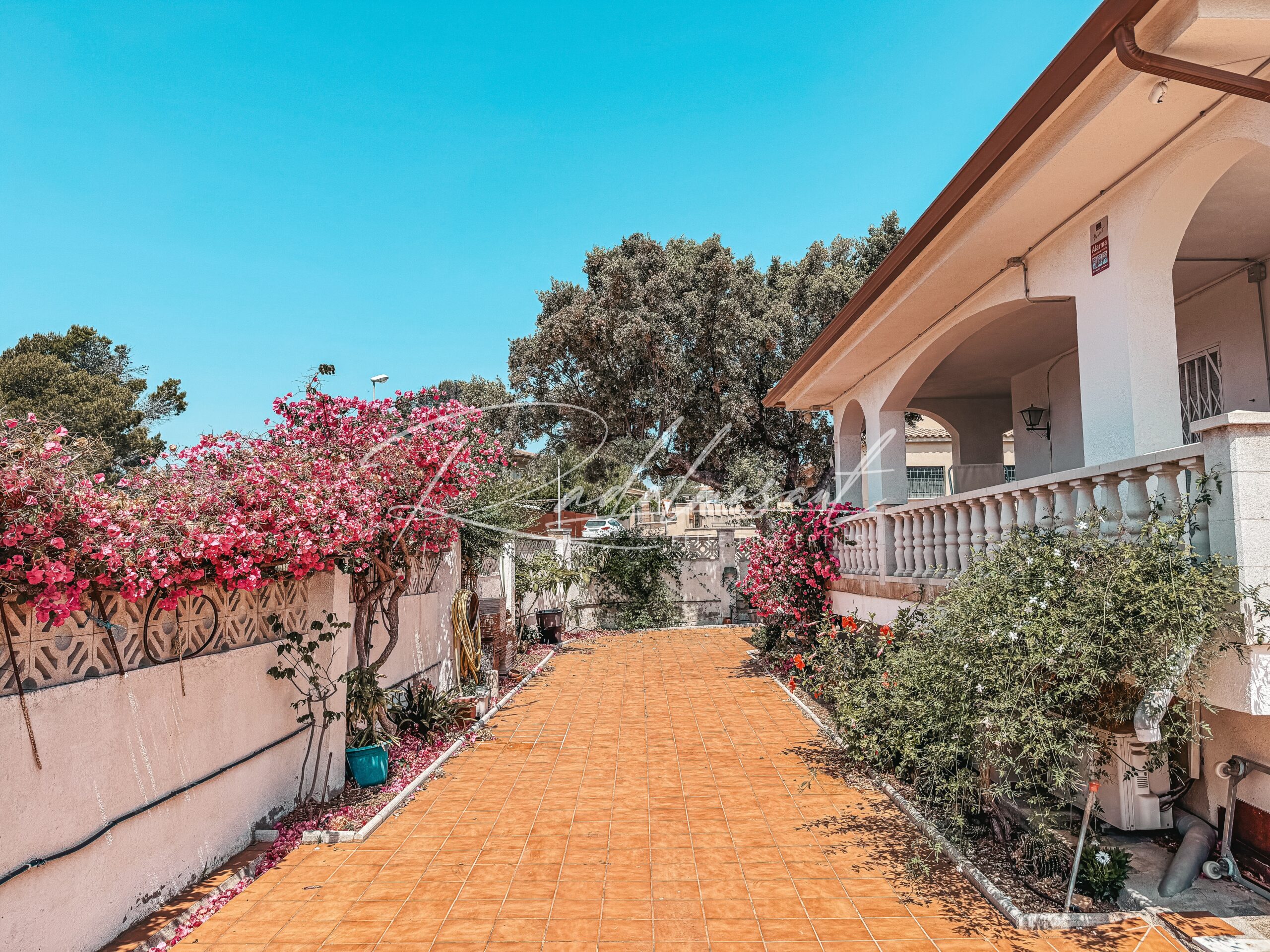 Jardín 4