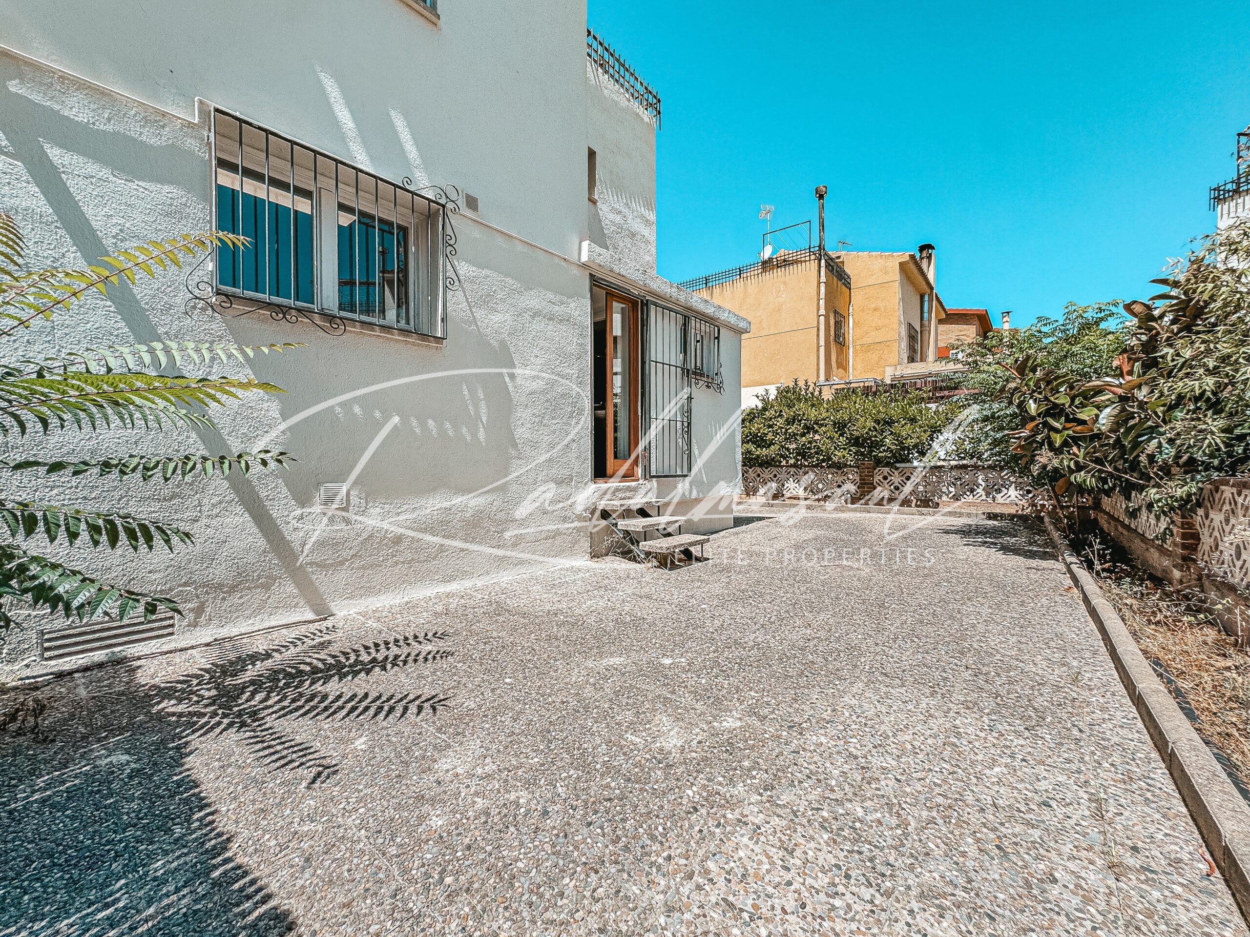 Terraza 1
