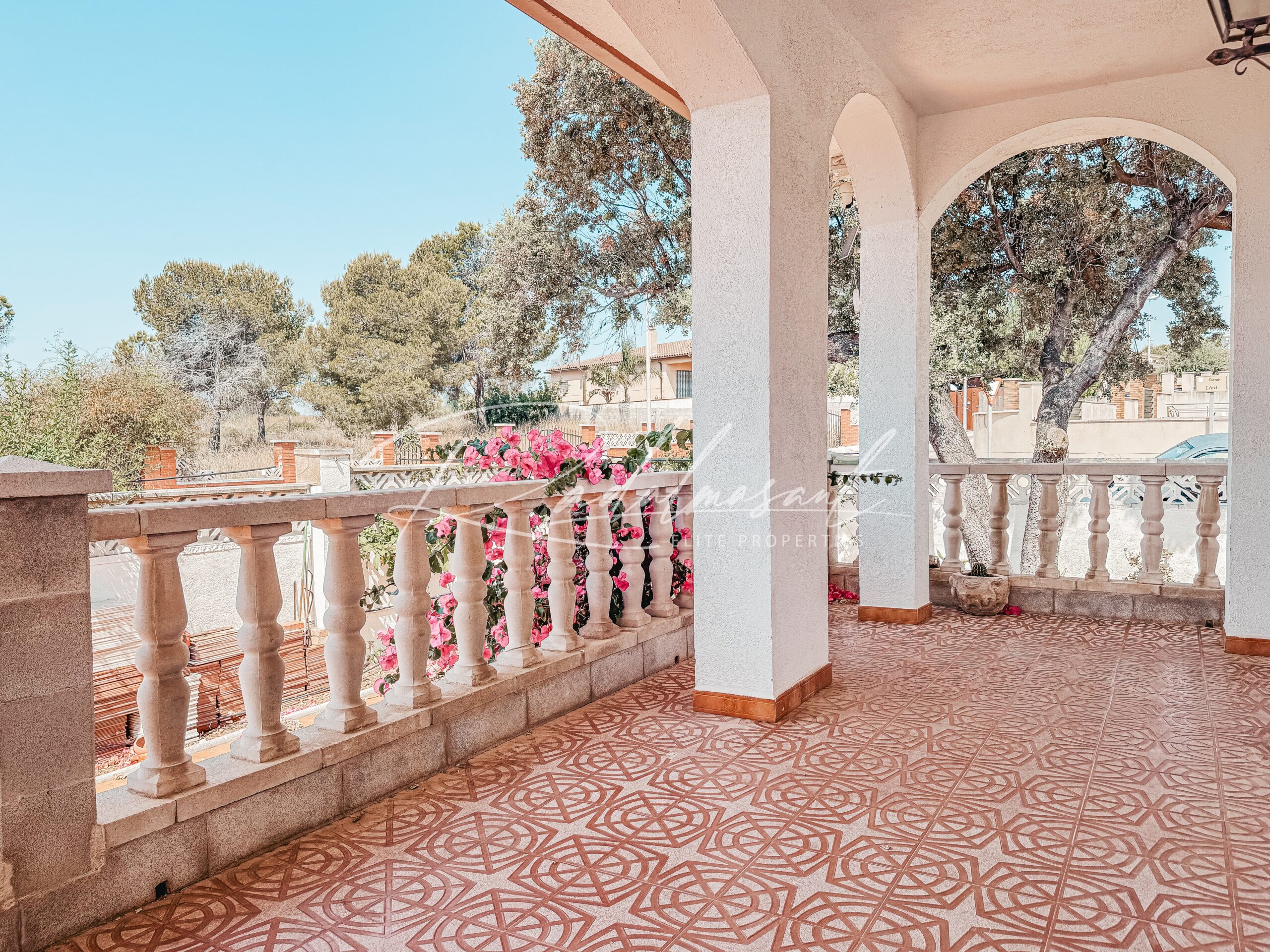 Terraza 1