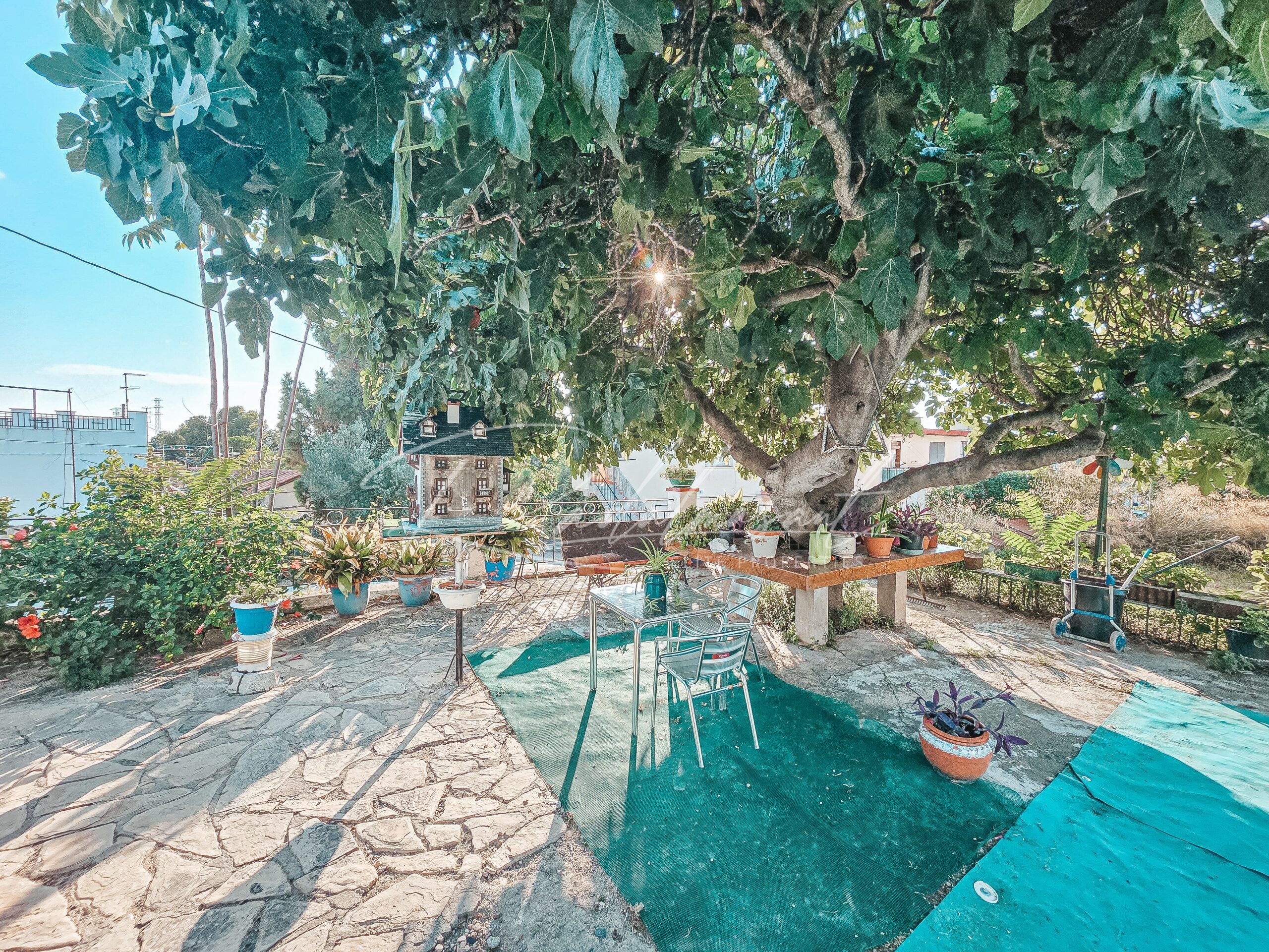 Jardín