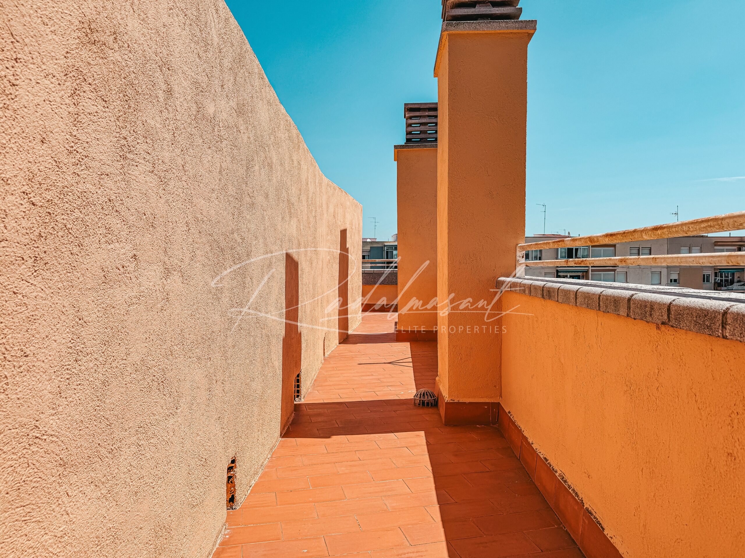 Terraza 1