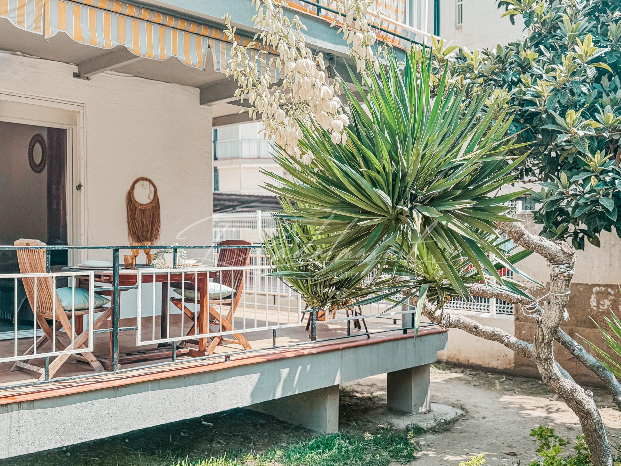 Terraza 1