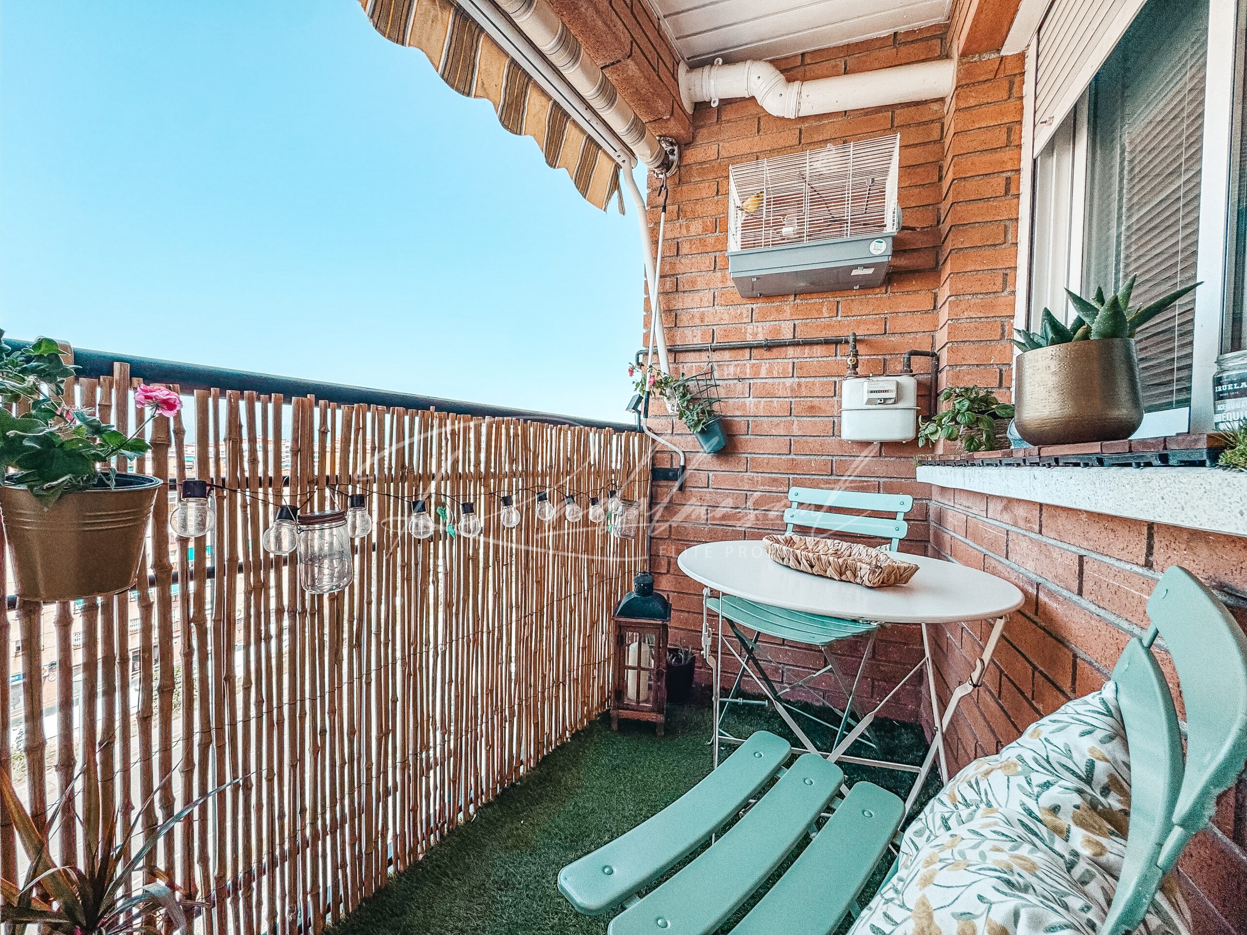 Terraza 1