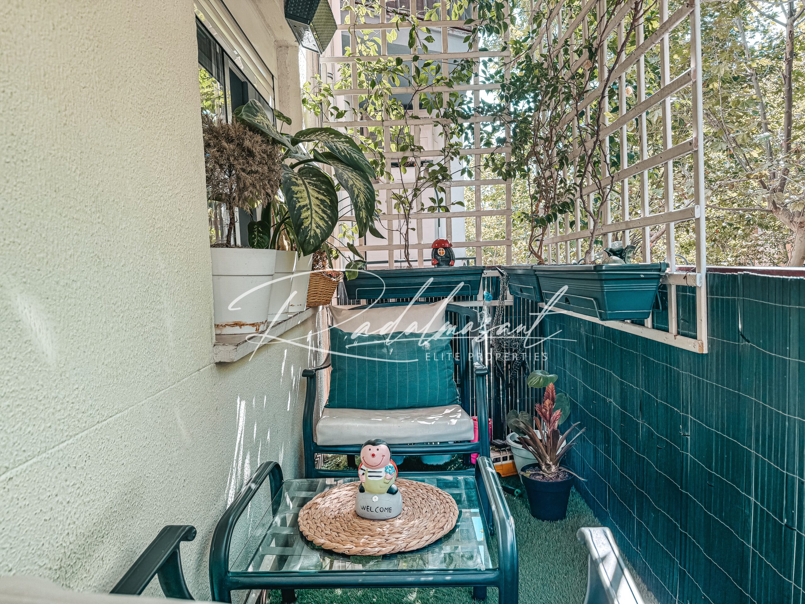 Terraza 1