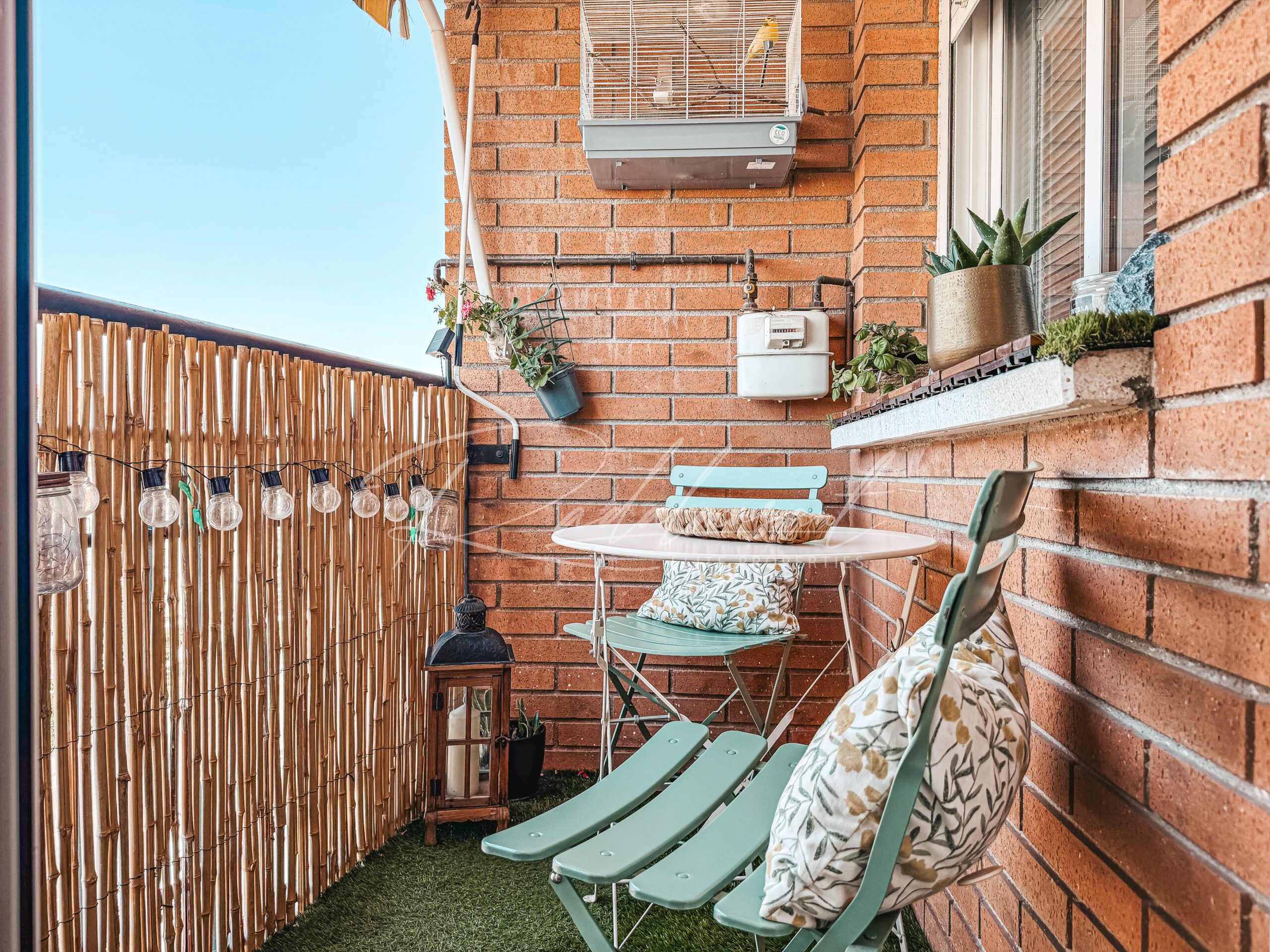 Terraza 2