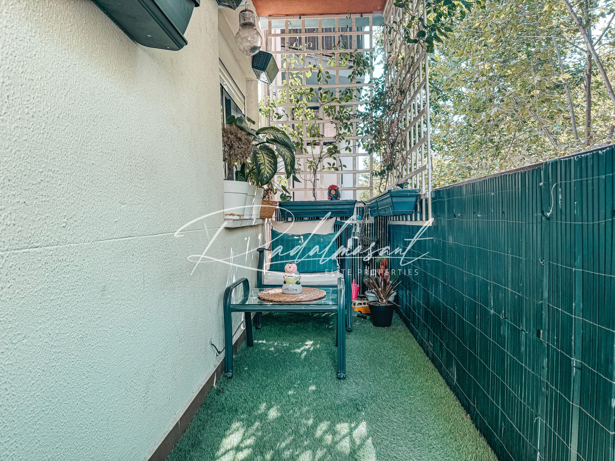 Terraza 2
