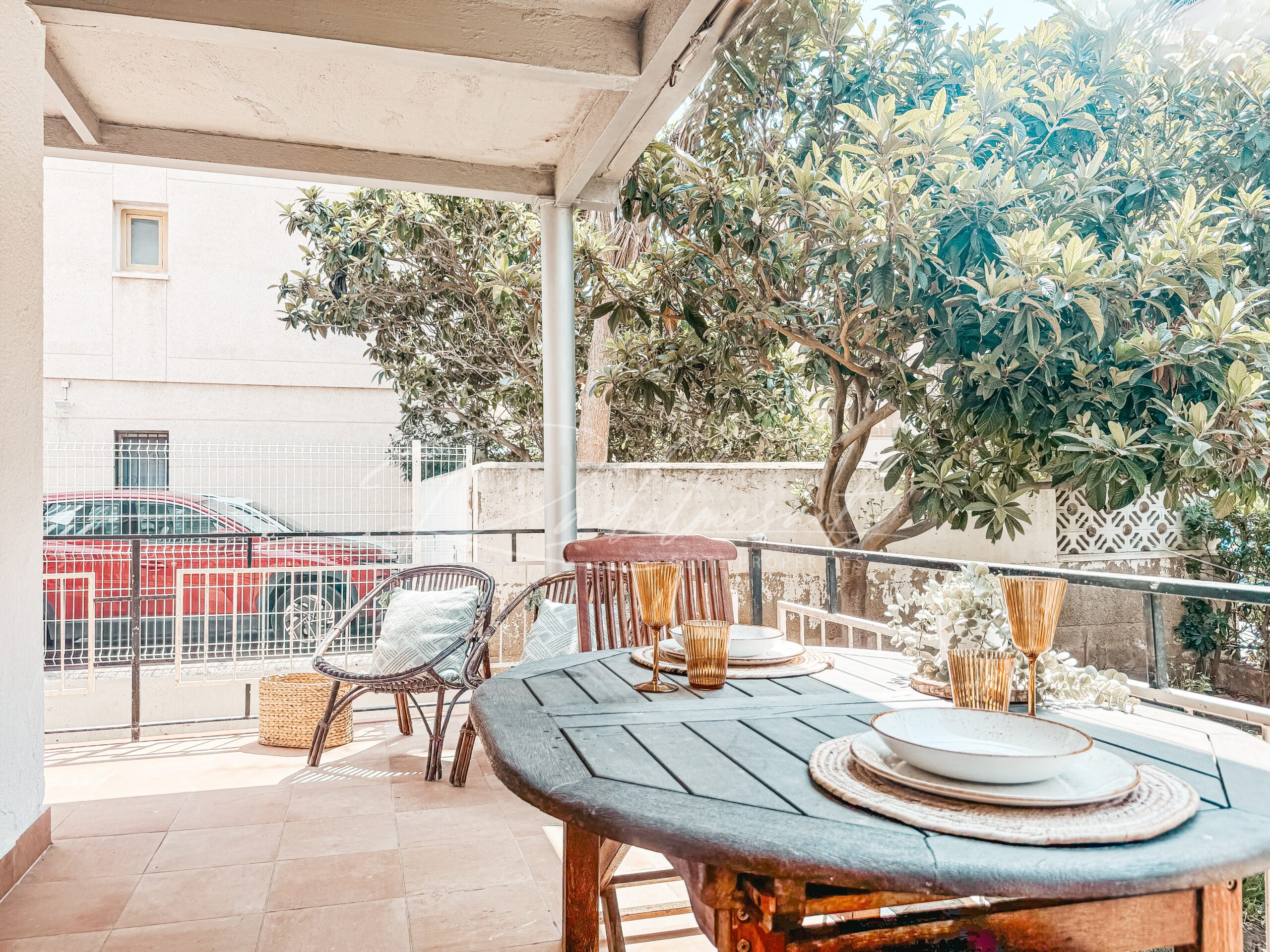 Terraza 5