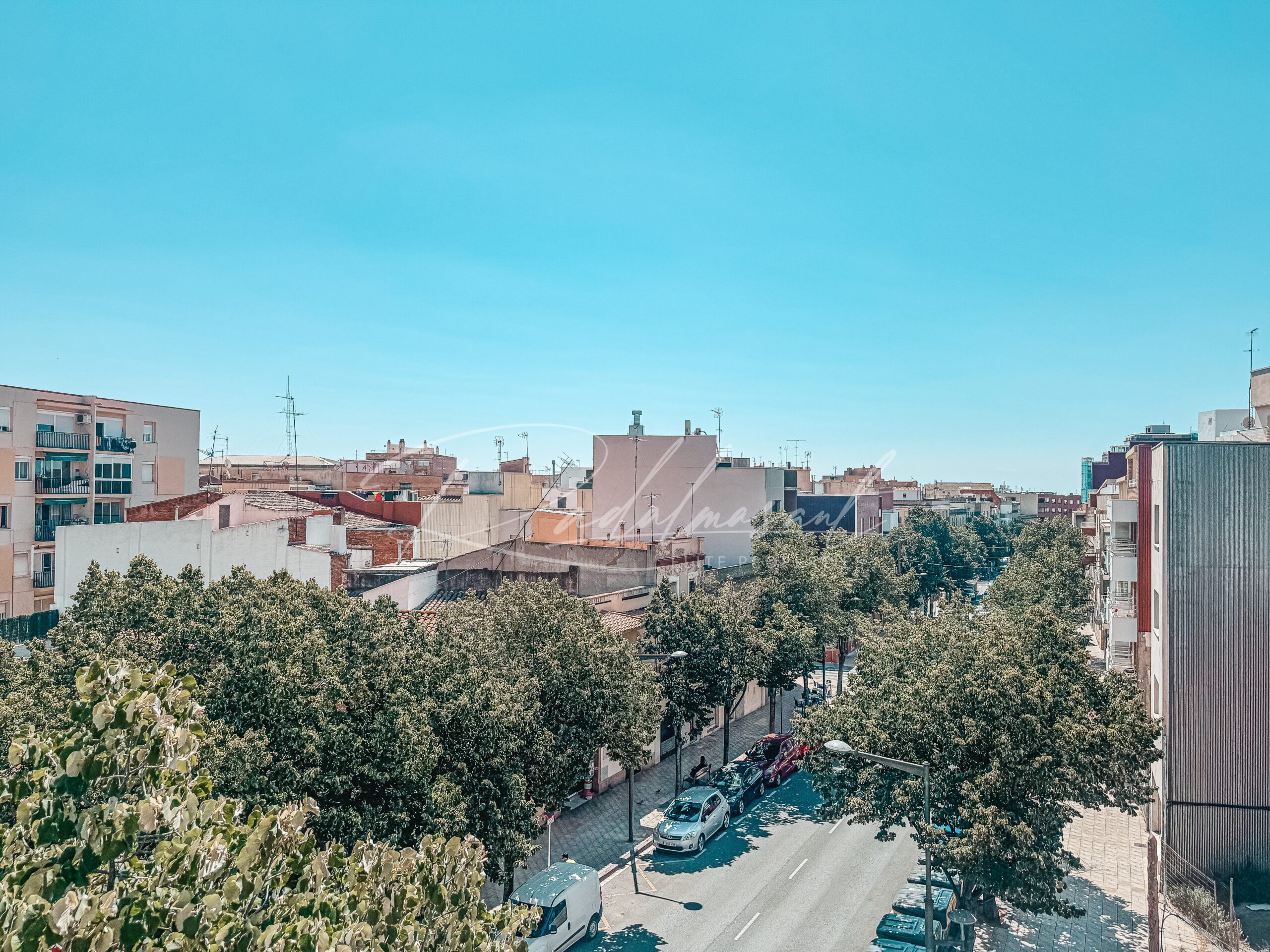 Vistas