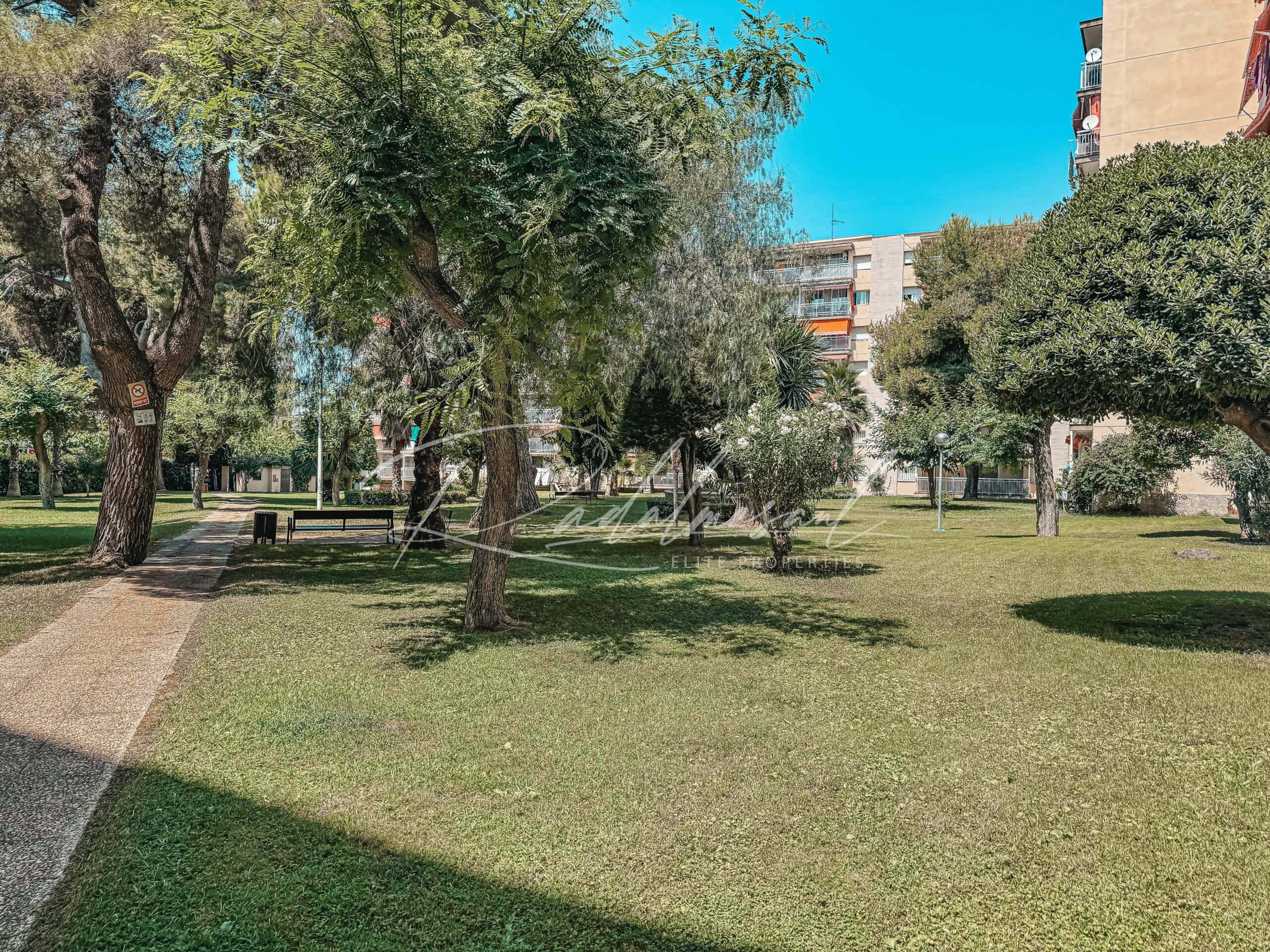 Zona Comunitaria 1