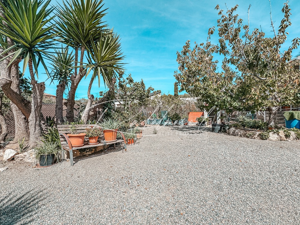 Jardín 5
