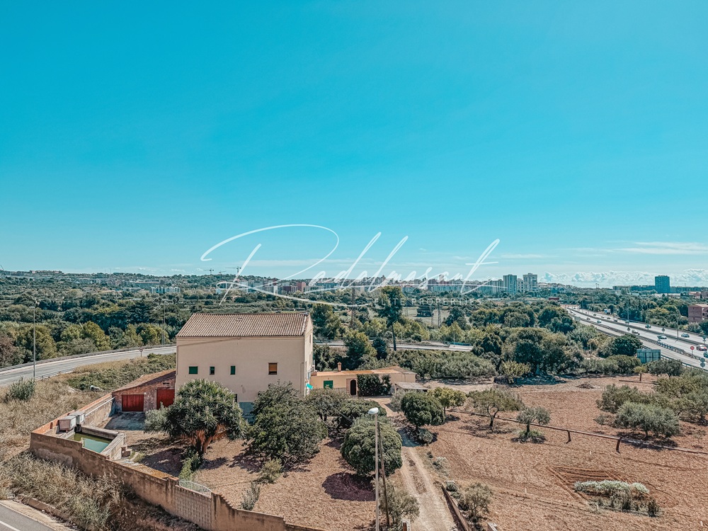 Vistas 2