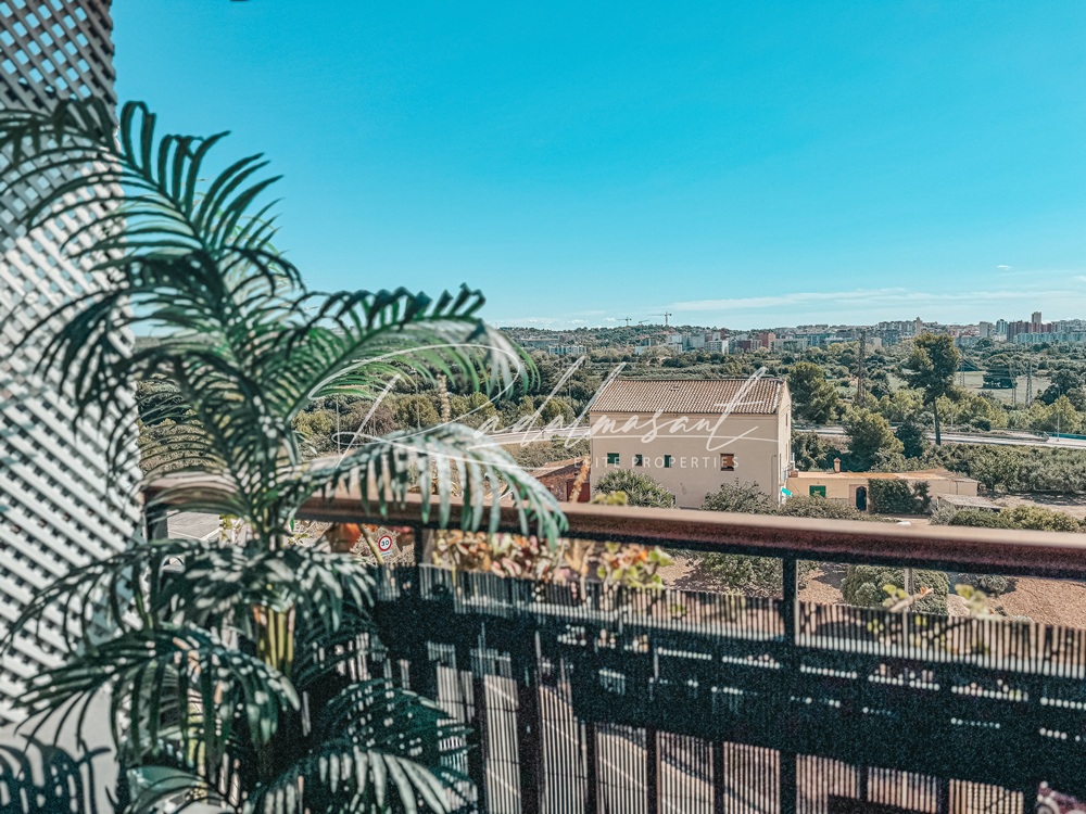 Vistas