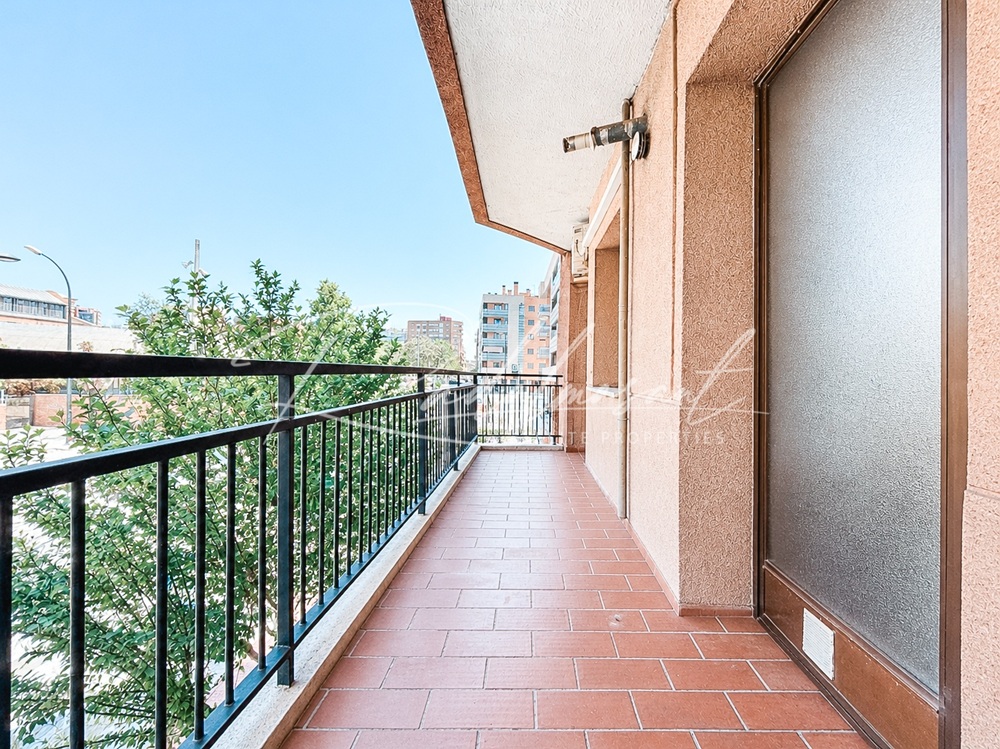 Terraza 1