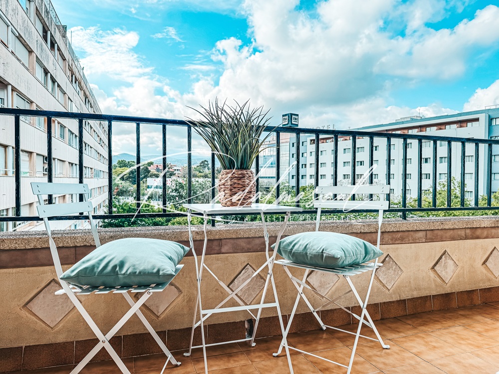 Terraza 2